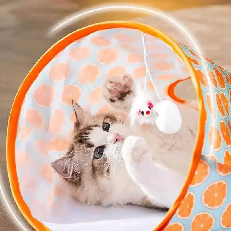 Brinquedo interativo para gato