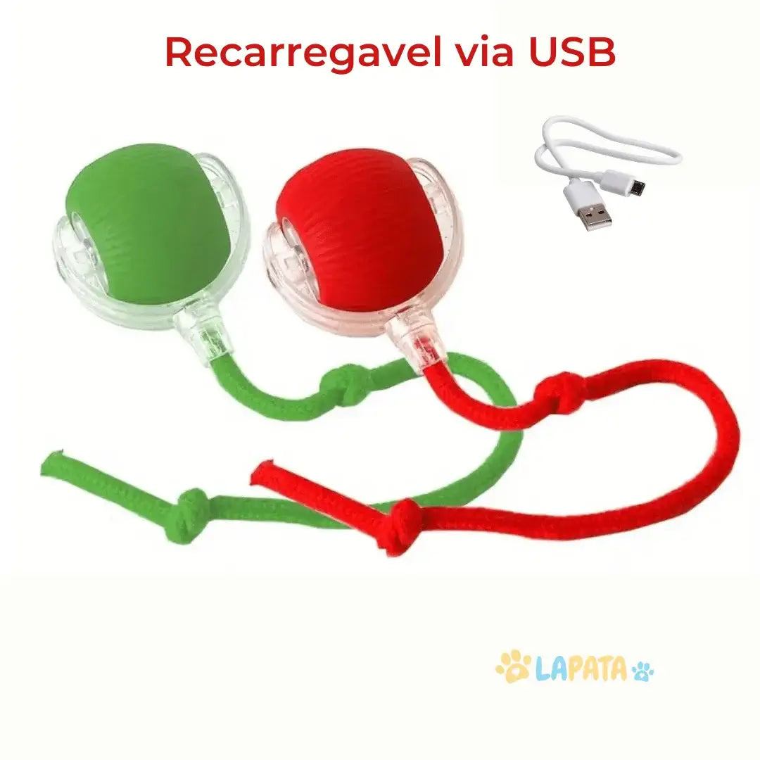 Brinquedo interativo para Gatos
