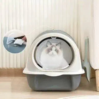 Caixa de Areia Para Gatos Com Tampa e Pa