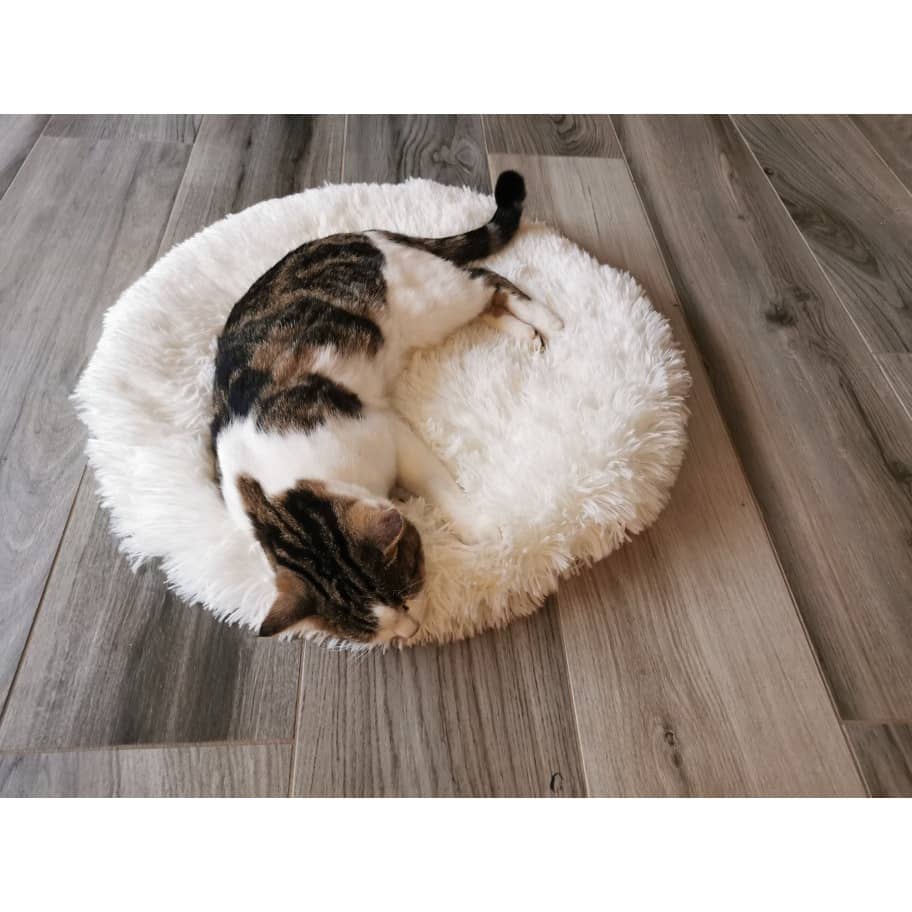 cama-almofada-nuvem-para-cachorros-e-gatos