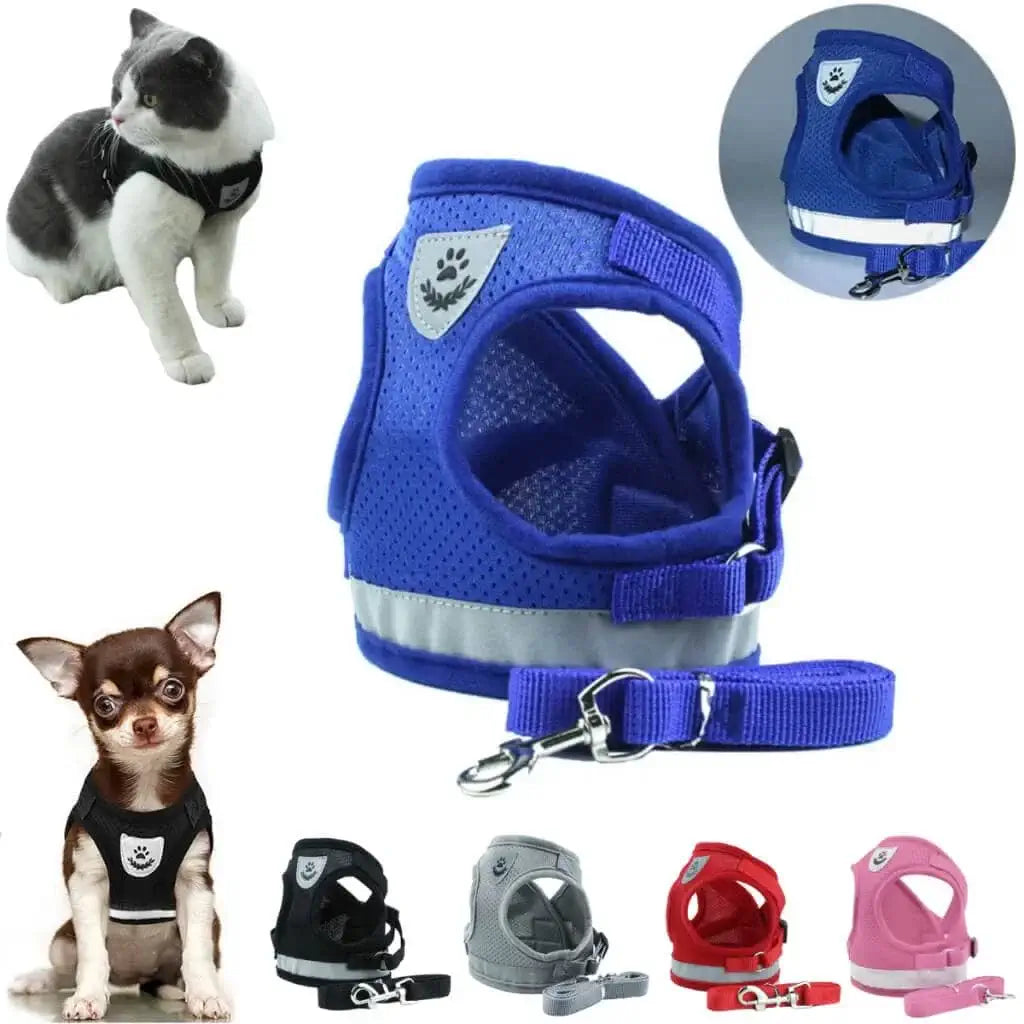 Coleira para cachorro