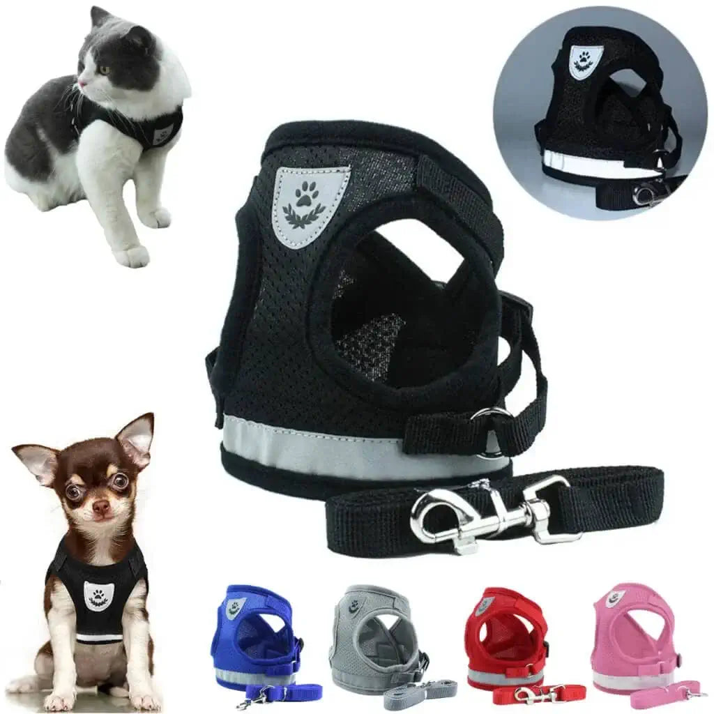 coleira para cachorro peitoral