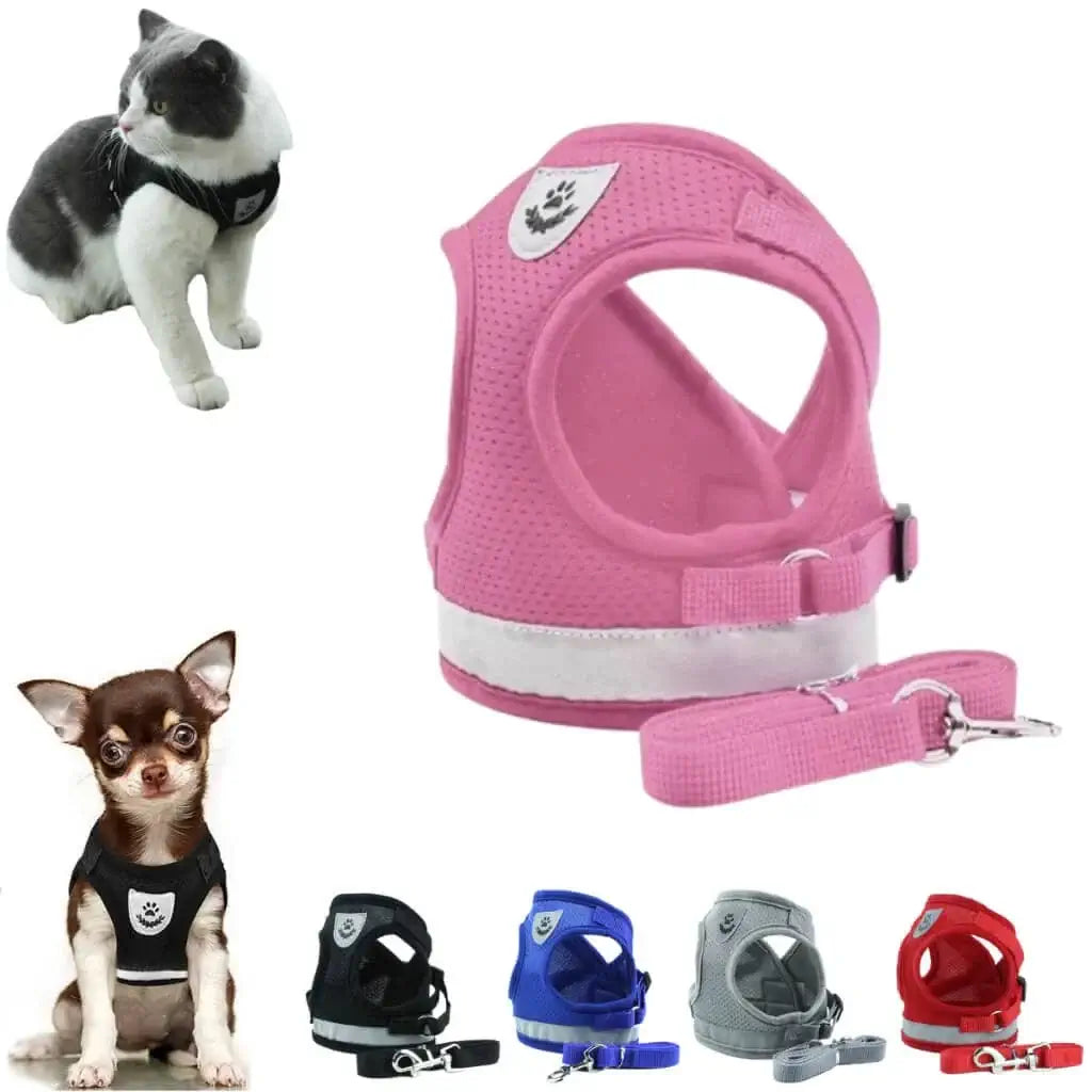 coleira para cachorro e gato