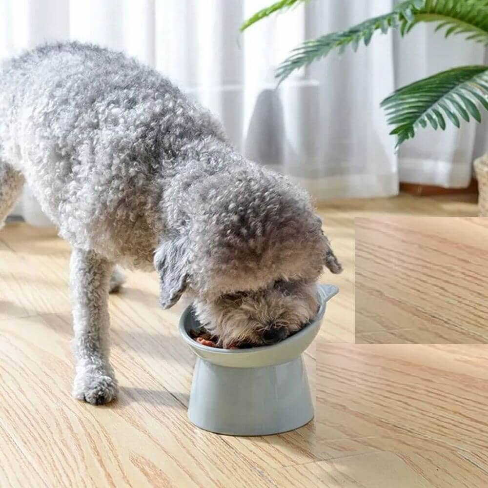 Tigela-comedouro-elevado-para-gatos-e-cachorros-azul