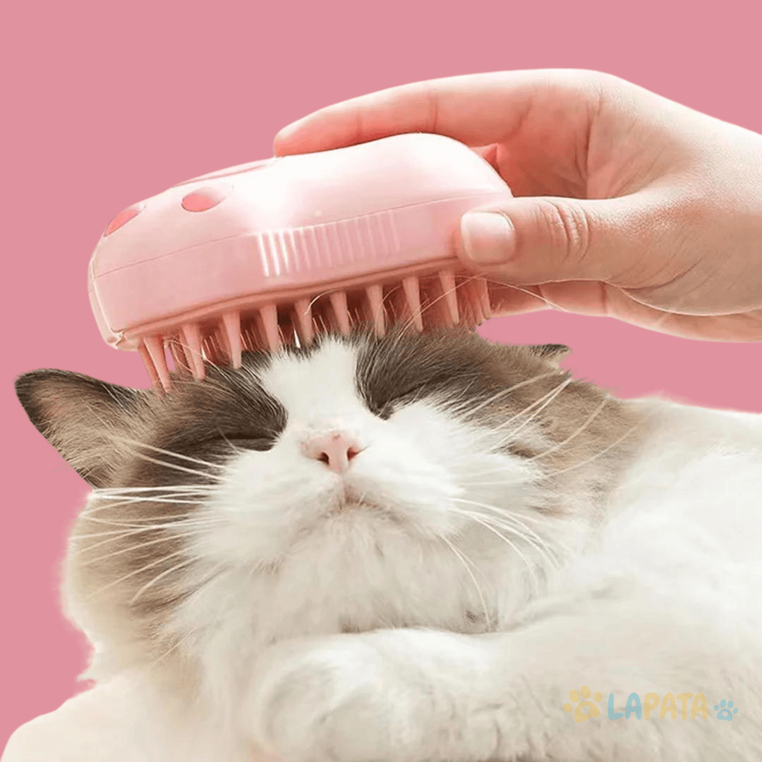 escova-a-vapor-para-cachorros-e-gatos