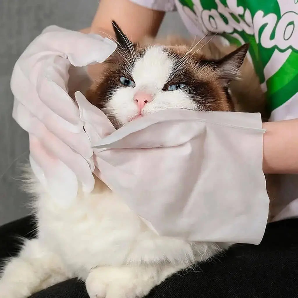 luva higienica para gato