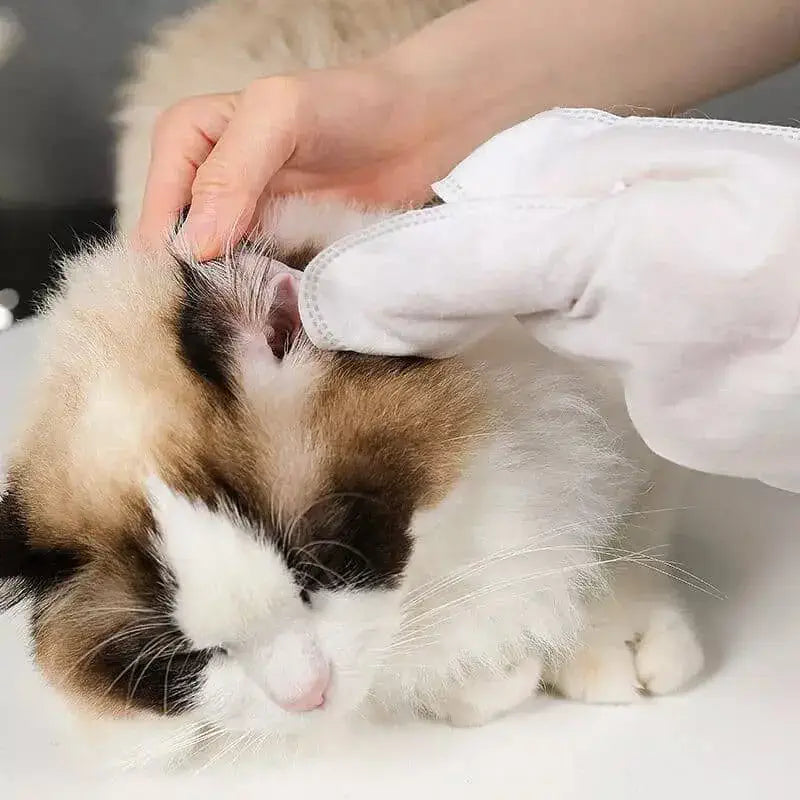 luva higienica para gato