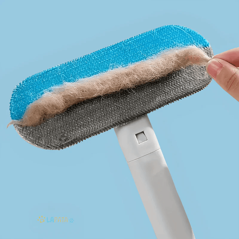 Removedor-de-pelos-de-gatos-para-sofa
