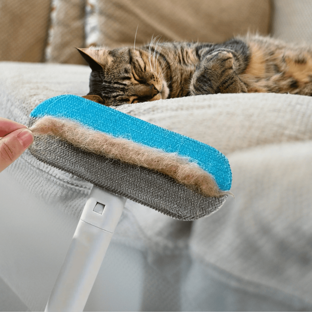 Removedor-de-pelos-de-gatos-para-sofa