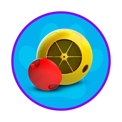 Brinquedos - LaPata