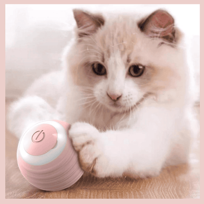 Bola-inteligente-interativa-para-gatos