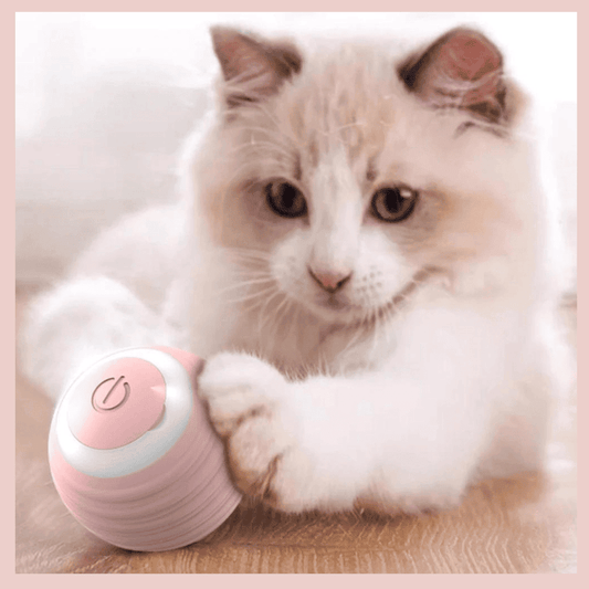 Bola-inteligente-interativa-para-gatos