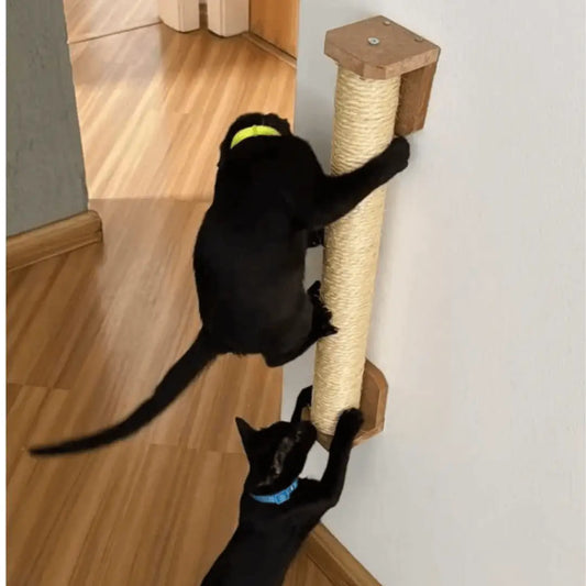 Arranhador de Sisal para Gatos sem Furo na Parede