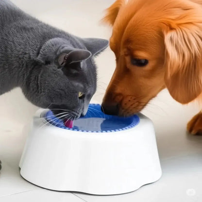 bebedouro para gatos