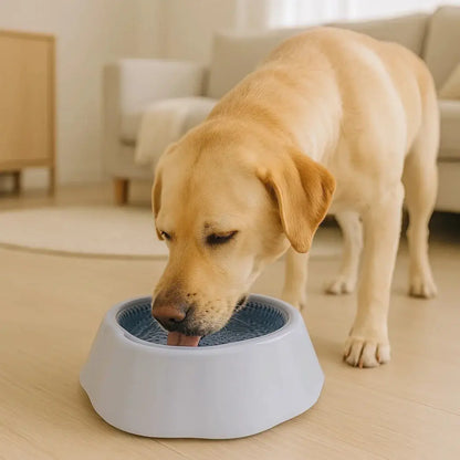 bebedouro para cachorro