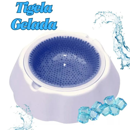 bebedouro para gatos