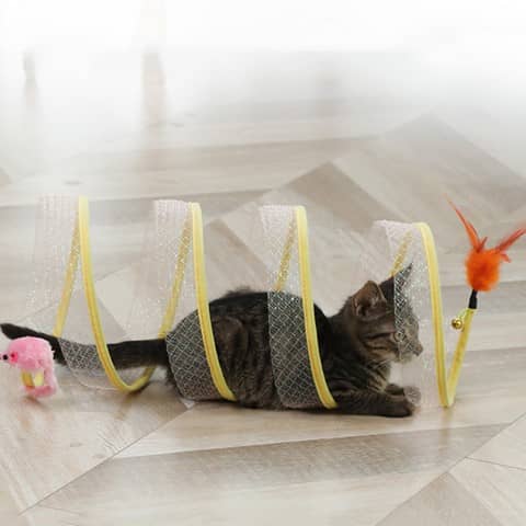 brinquedo-interativo-mola-para-gatos