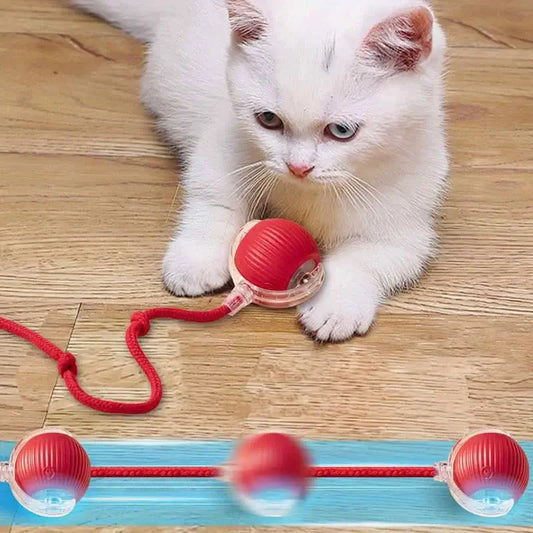 Brinquedo interativo para Gatos