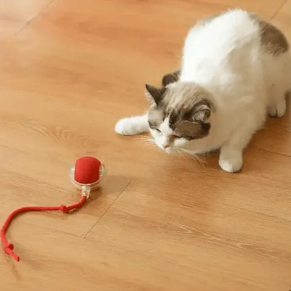 Brinquedo interativo para Gatos