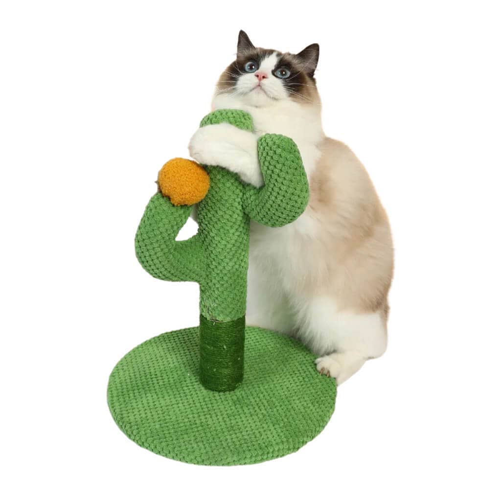 arranhador-PARA-GATOS-CACTO