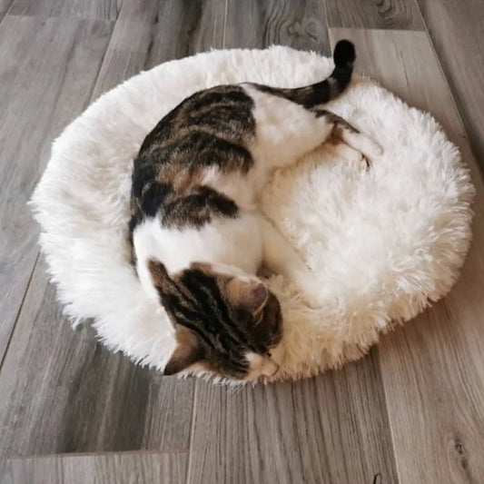 cama-almofada-nuvem-para-cachorros-e-gatos