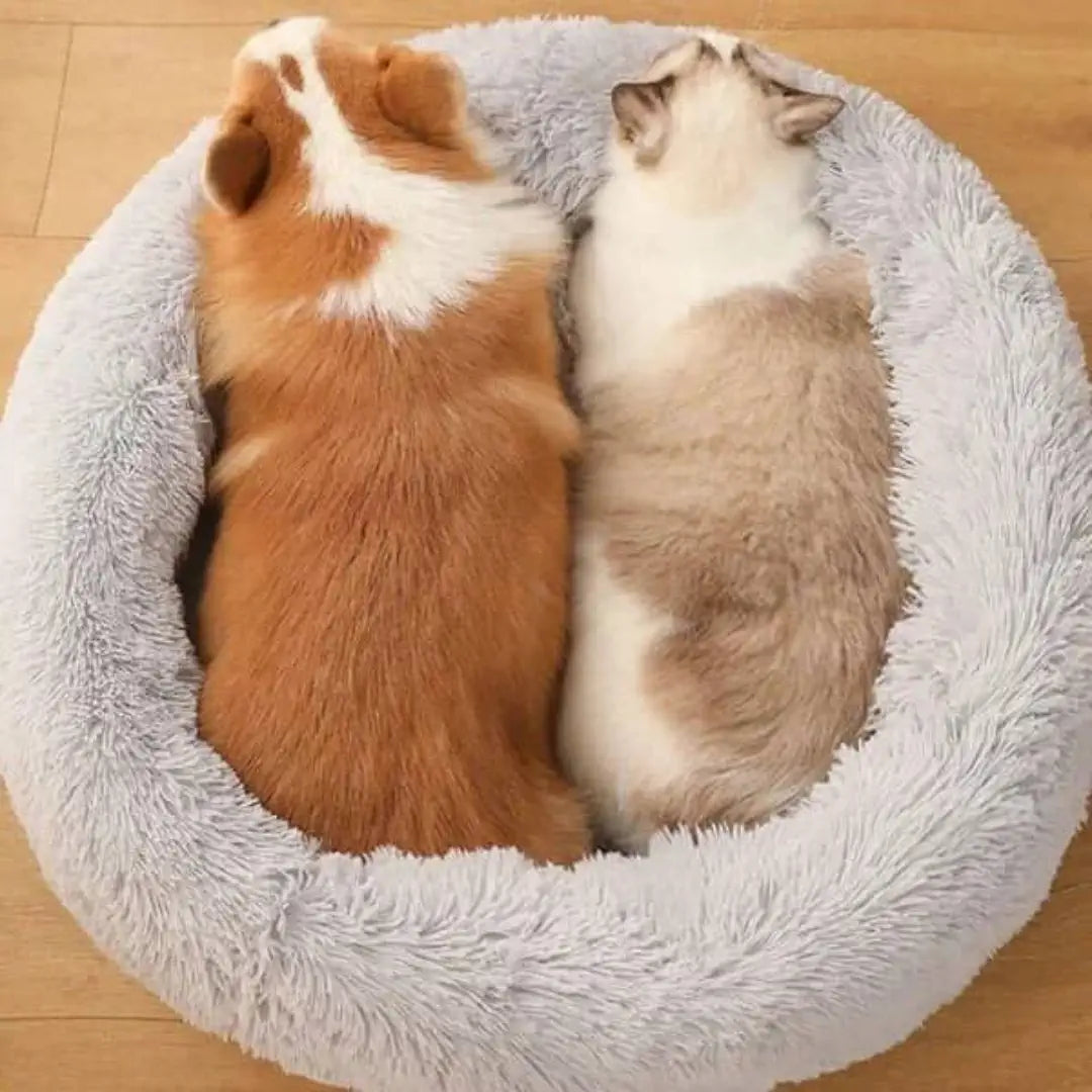 cama Nuvem Para cachorro e Gatos
