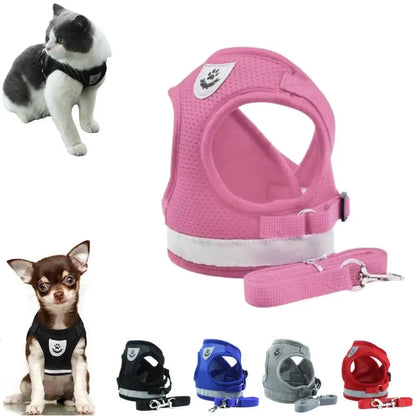 coleira para cachorro e gato