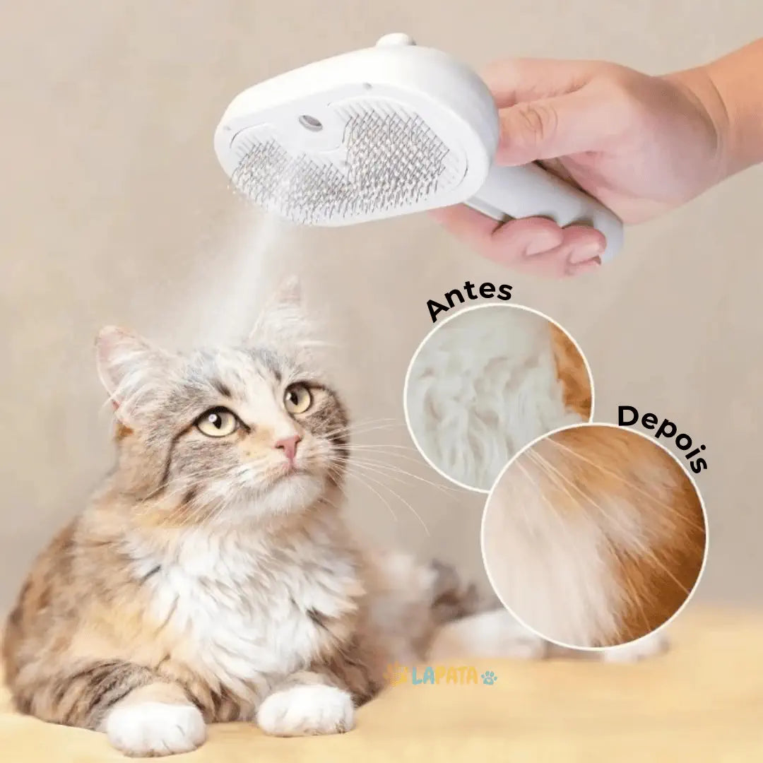 Escova para gatos a vapor cerdas em silicone