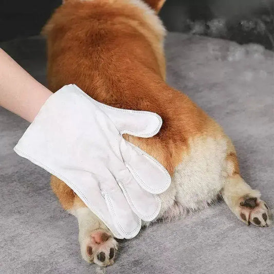 Luva de limpeza para gatos